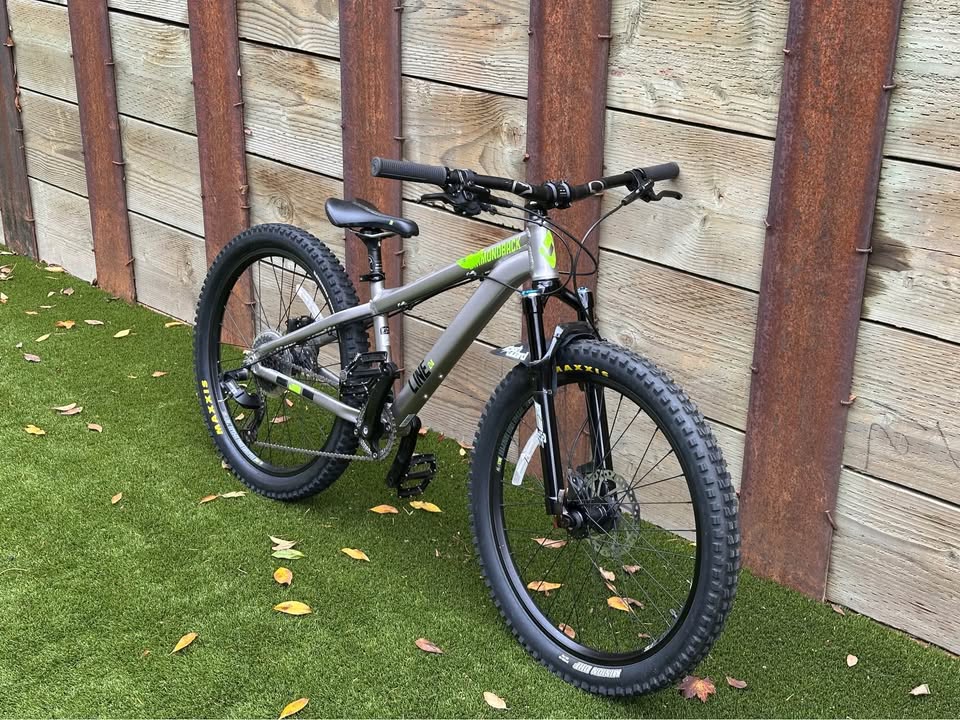 Diamondback Line 24 kids mountain bike