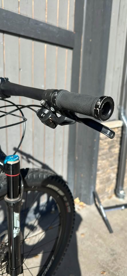 Kids TRAILCRAFT pineridge 24 2019 with dropper post